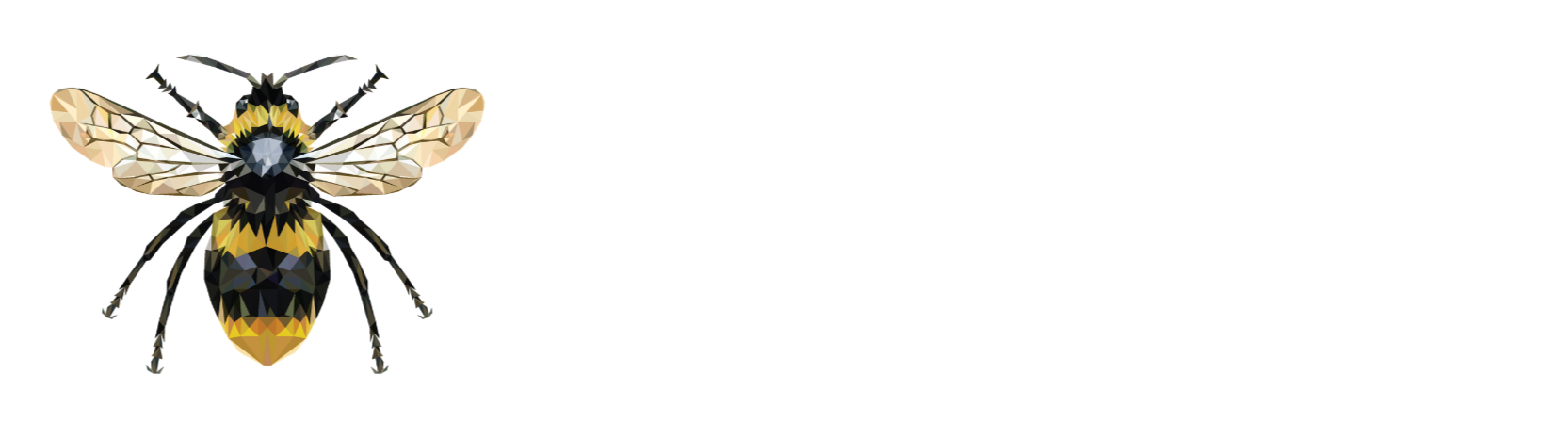 For The Bold Customs